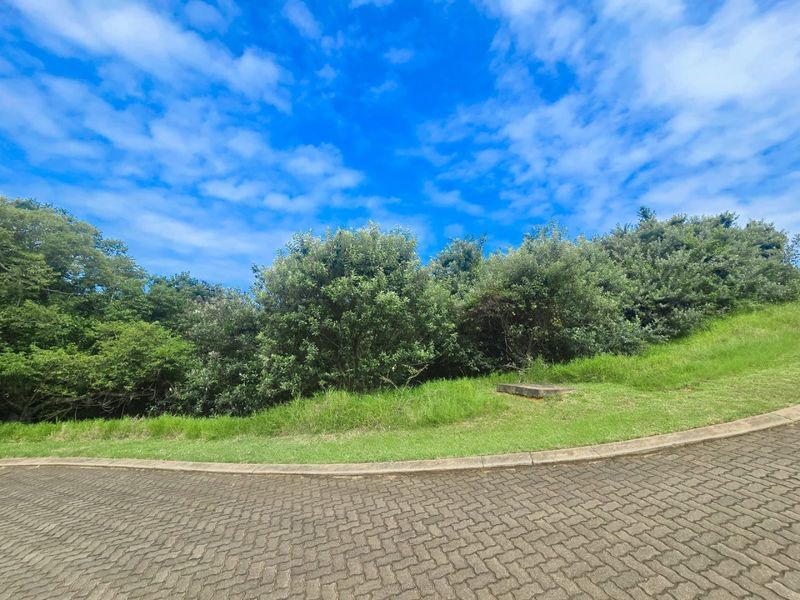 Premium Residential Land in a Nature-Rich Coastal Estate - Photo 5