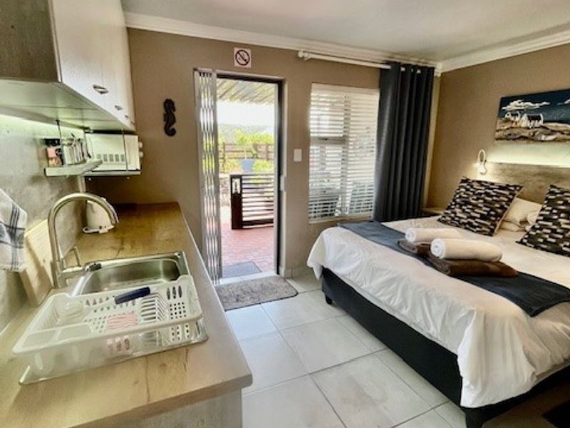 Open-plan studio bedroom featuring a compact kitchenette with sink and direct access to an outdoor patio area.