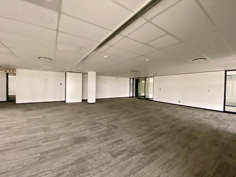 P-Grade Office Space Available In Irene - Photo 6