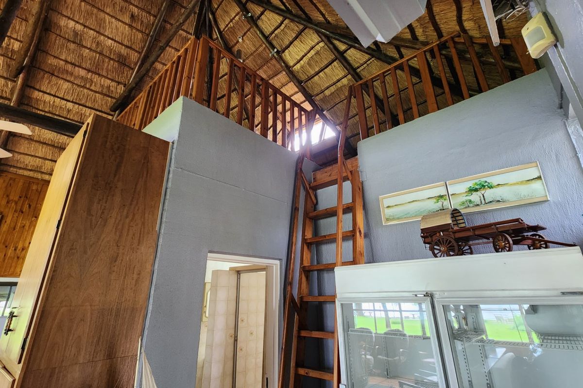 Living area featuring a high vaulted thatched roof with exposed timber rafters, a mezzanine loft level accessed by a wooden ladder, and built-in cabinetry.