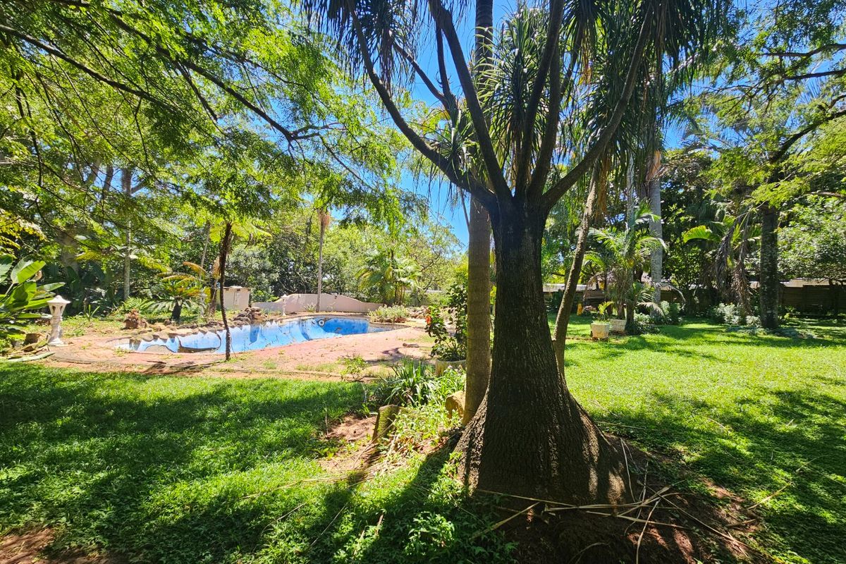 Farm Living, on The Outskirts of White River - Photo 2