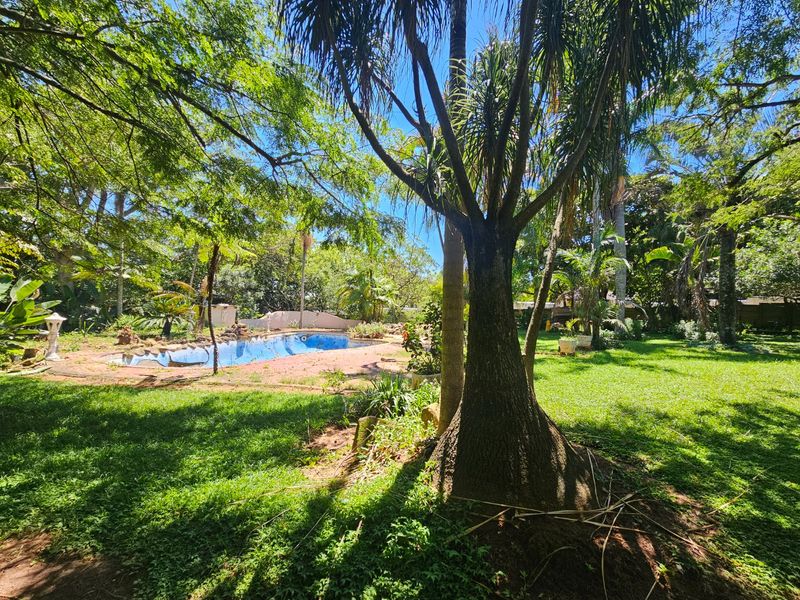 Farm Living, on The Outskirts of White River - Photo 2