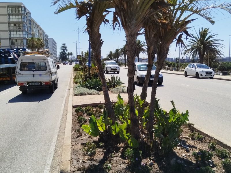 SUMMER LOVING SPACIOUS SUNNY SEASIDE LIVING - Photo 4