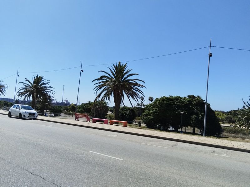 SUMMER LOVING SPACIOUS SUNNY SEASIDE LIVING - Photo 3