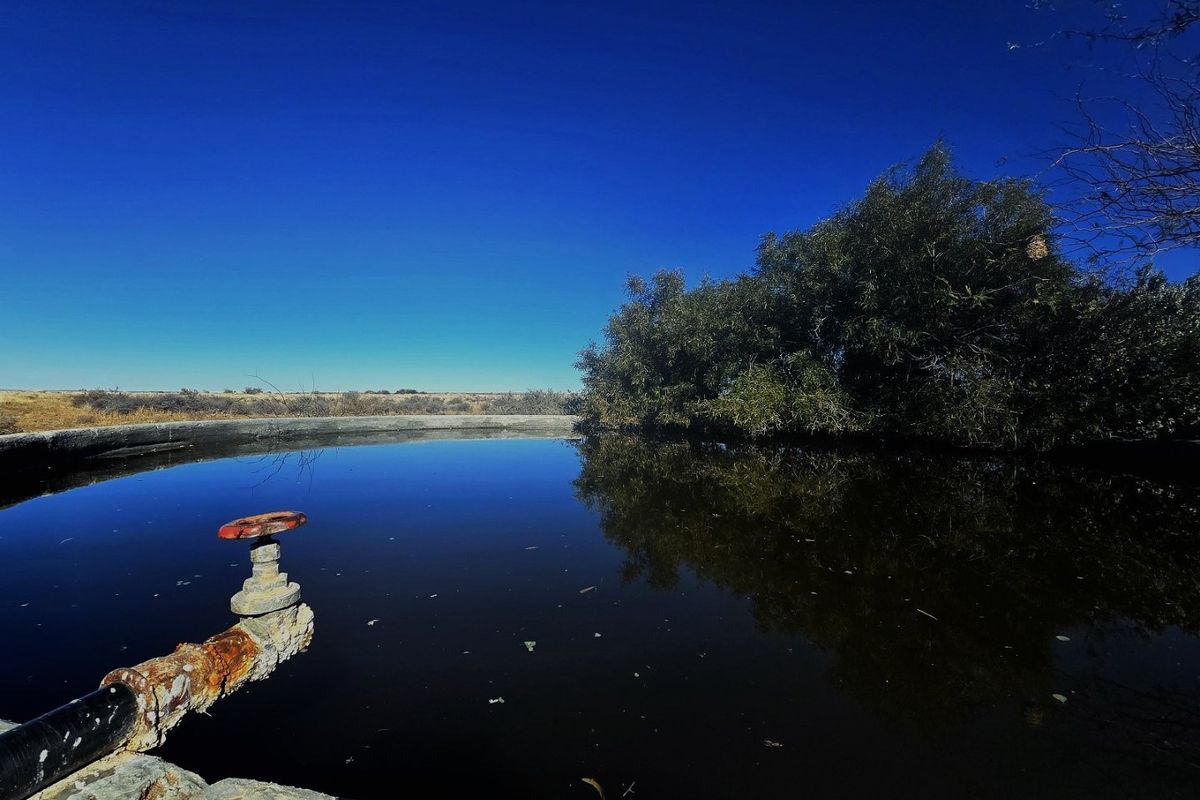 Remote Livestock Farm in the Heart of Boesmanland, Northern Cape - Photo 4