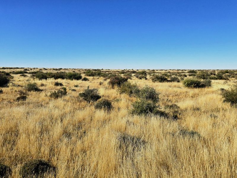 Remote Livestock Farm in the Heart of Boesmanland, Northern Cape - Photo 10