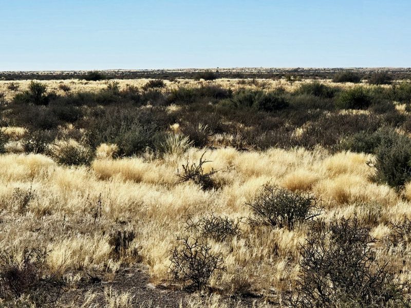 Remote Livestock Farm in the Heart of Boesmanland, Northern Cape - Photo 8