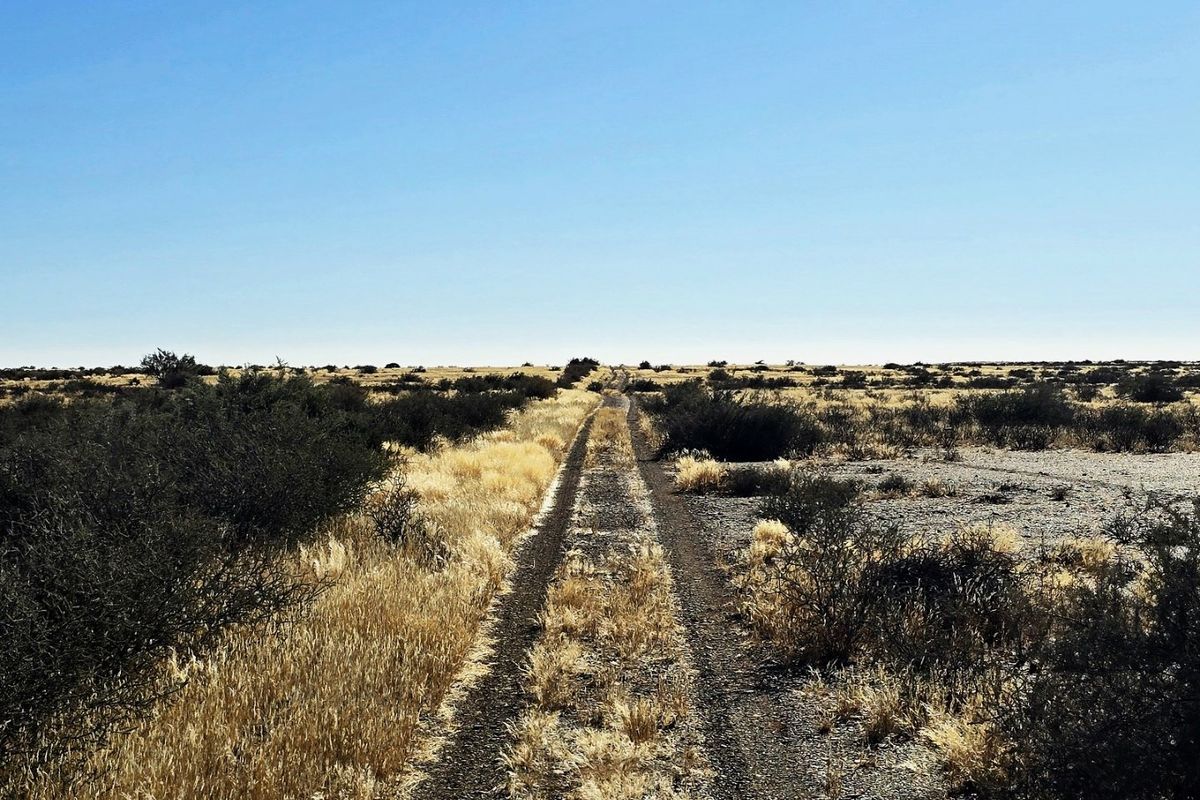 A view of a dirt track leading through the open, arid landscape of the farm property.