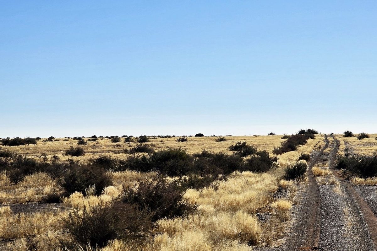 A wide-angle view of the expansive farm landscape featuring a gravel access track winding through the dry, natural veld vegetation.