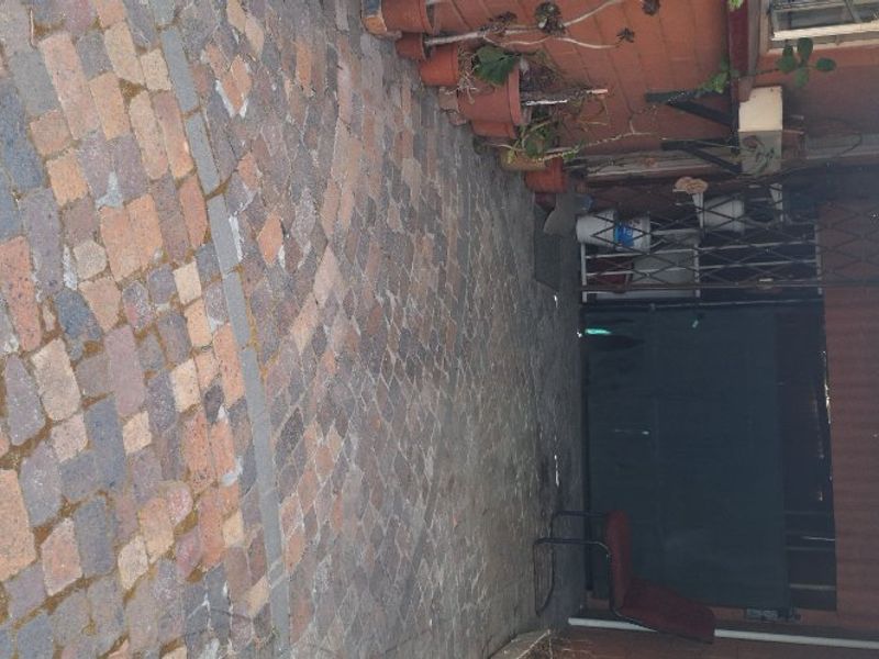 Cozy 1 bedroom home - Photo 2