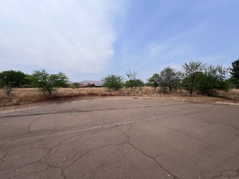 A view of a vacant residential plot featuring an asphalt driveway with visible surface cracking and surrounding natural vegetation.