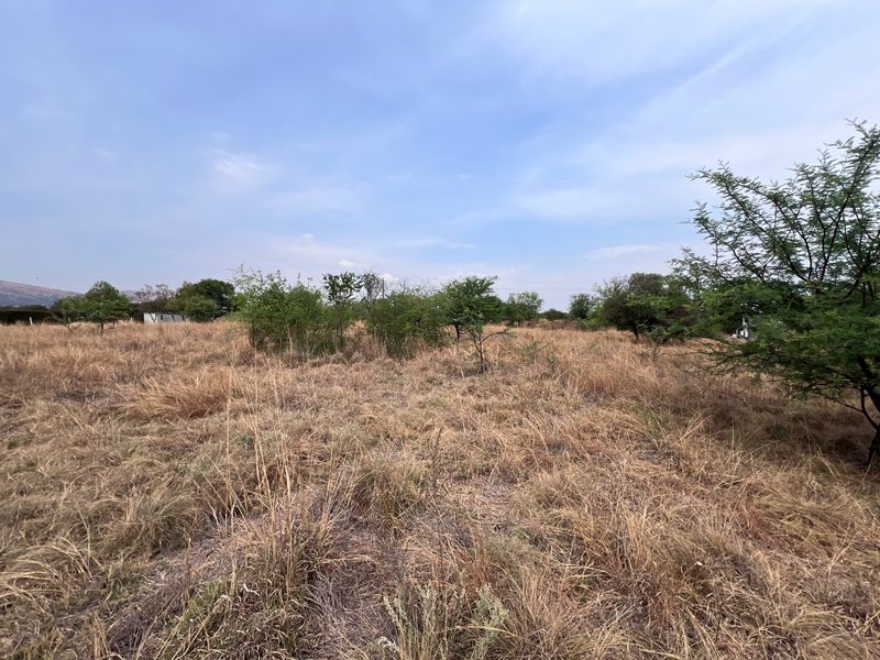 A wide-angle view of a vacant residential plot featuring natural grassland and scattered native trees under a clear sky.