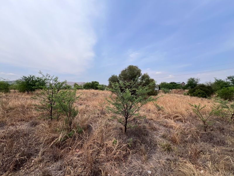 A view of a vacant residential plot featuring natural dry grass and scattered native trees under a clear blue sky.