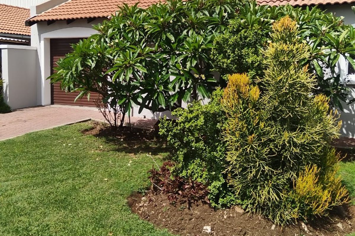 Cozy 3 Bedroom property in a Secure Estate - Photo 3