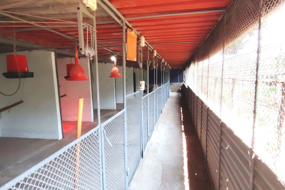 This smallholding is an exceptional jewel - Photo 3