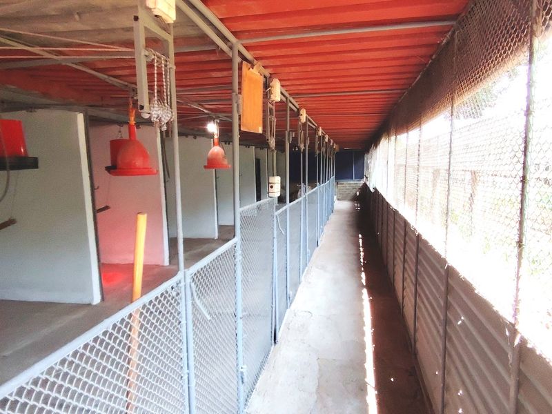 This smallholding is an exceptional jewel - Photo 3