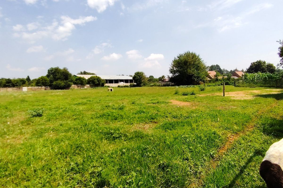 This smallholding is an exceptional jewel - Photo 4