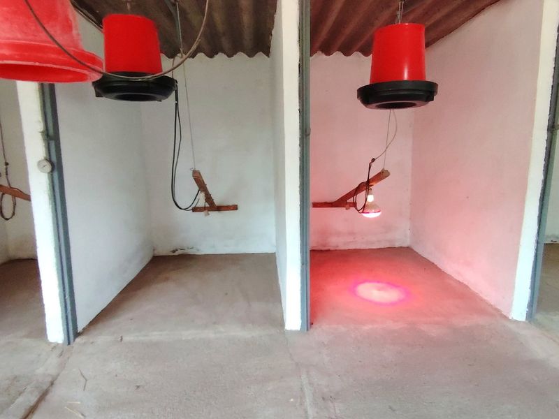 This smallholding is an exceptional jewel - Photo 10