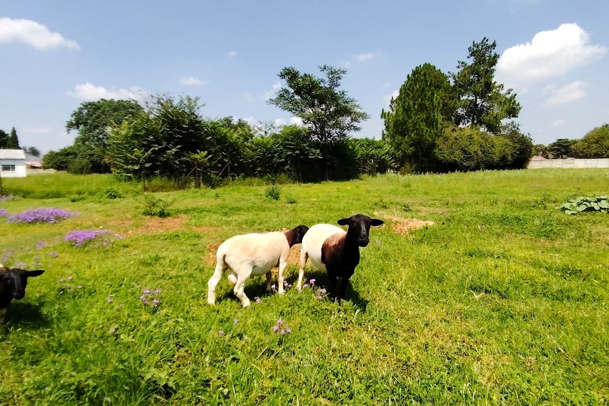 This smallholding is an exceptional jewel - Photo 2