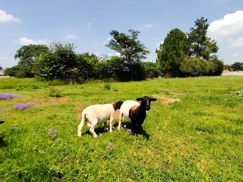 This smallholding is an exceptional jewel - Photo 2