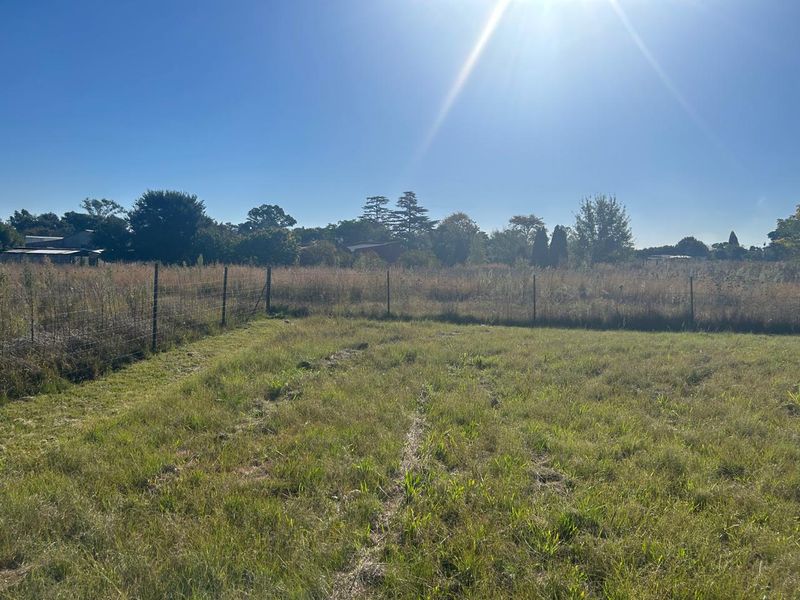 VACANT LAND  - Photo 3