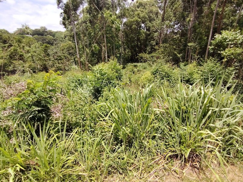 Vacant Land In Secure Estate - Photo 10