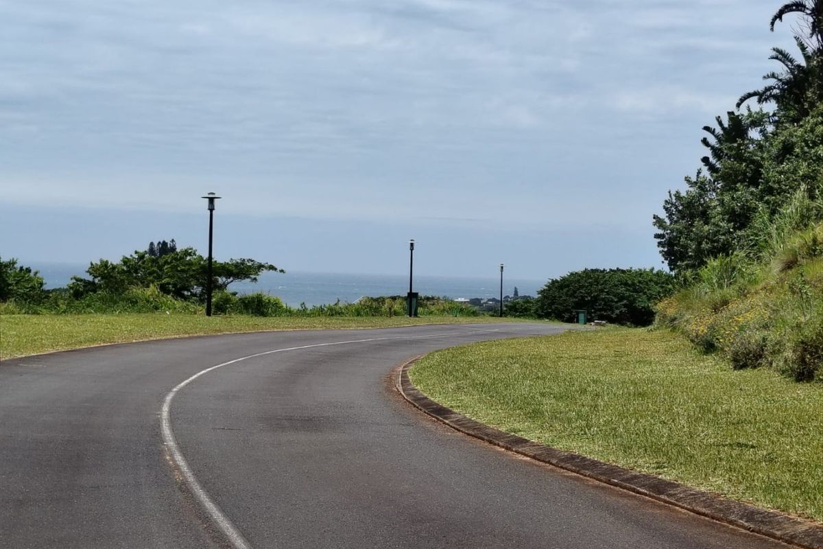 A paved residential street within an estate, featuring manicured grass verges, street lighting, and distant ocean views.
