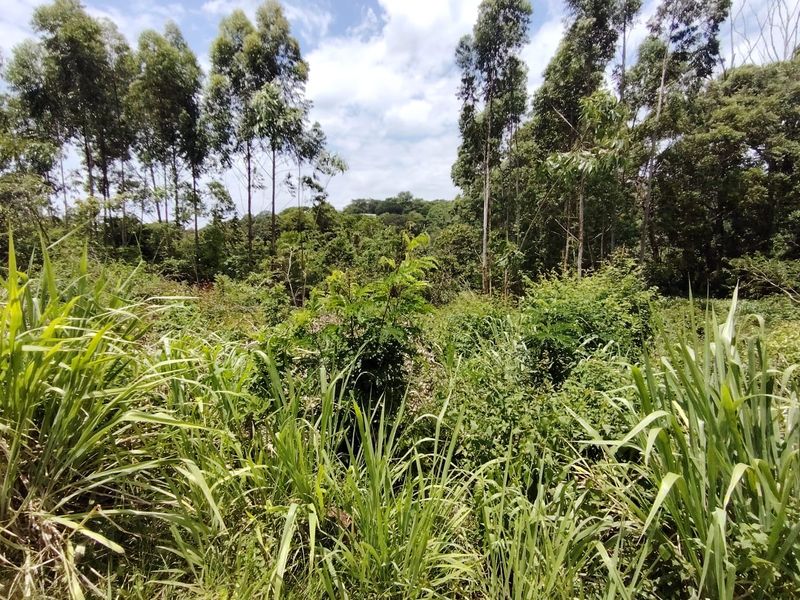 Vacant Land In Secure Estate - Photo 6