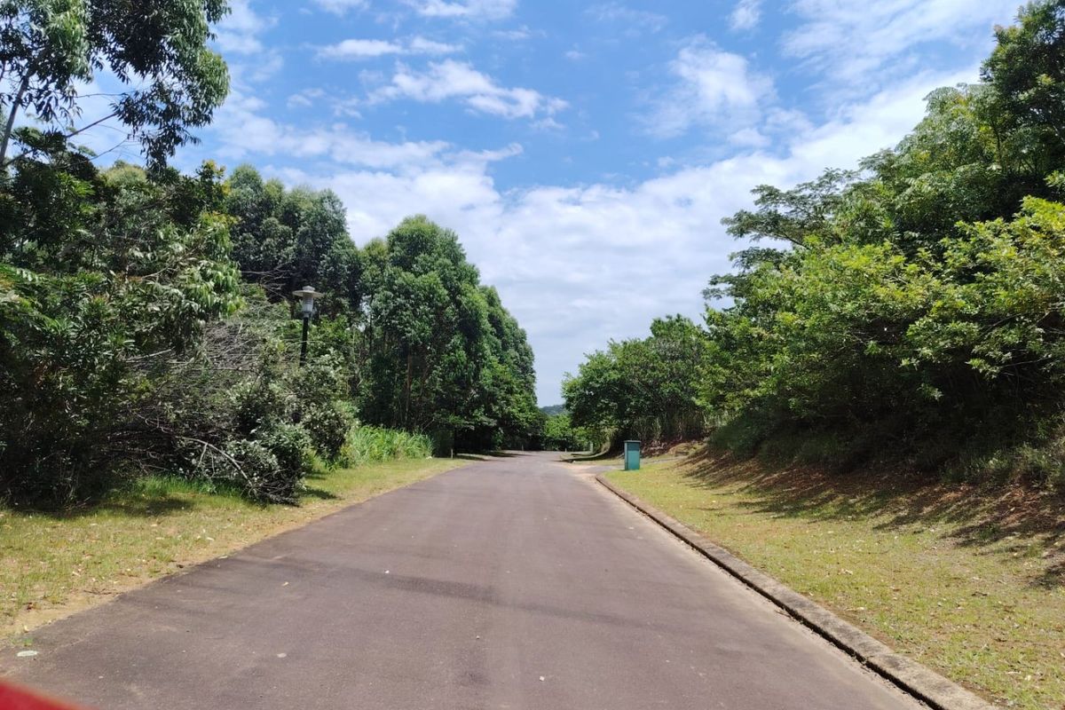 A view of a paved residential street lined with mature trees and established greenery, showing the approach to the property.
