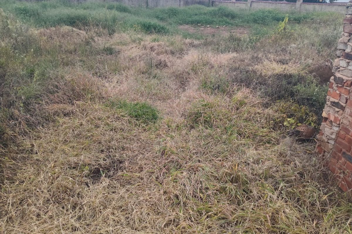 Vacant land - Photo 3