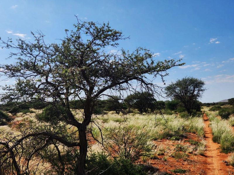 Livestock farm for sale between Marydale and Groblershoop in the Northern Cape.  - Photo 3