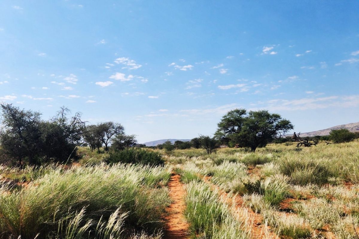 Livestock farm for sale between Marydale and Groblershoop in the Northern Cape.  - Photo 4