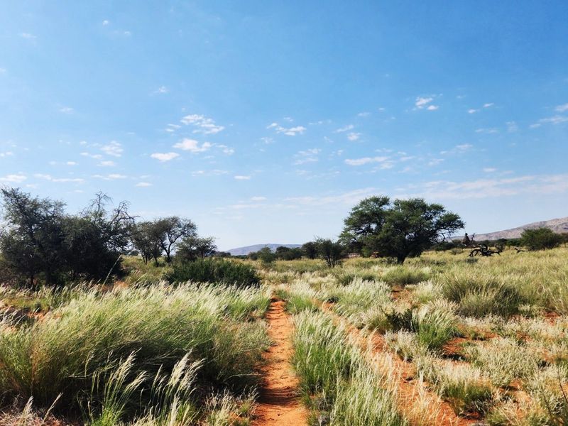 Livestock farm for sale between Marydale and Groblershoop in the Northern Cape.  - Photo 4