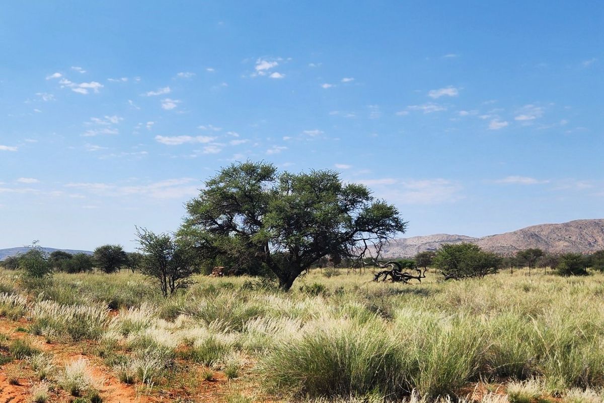 Livestock farm for sale between Marydale and Groblershoop in the Northern Cape.  - Photo 5
