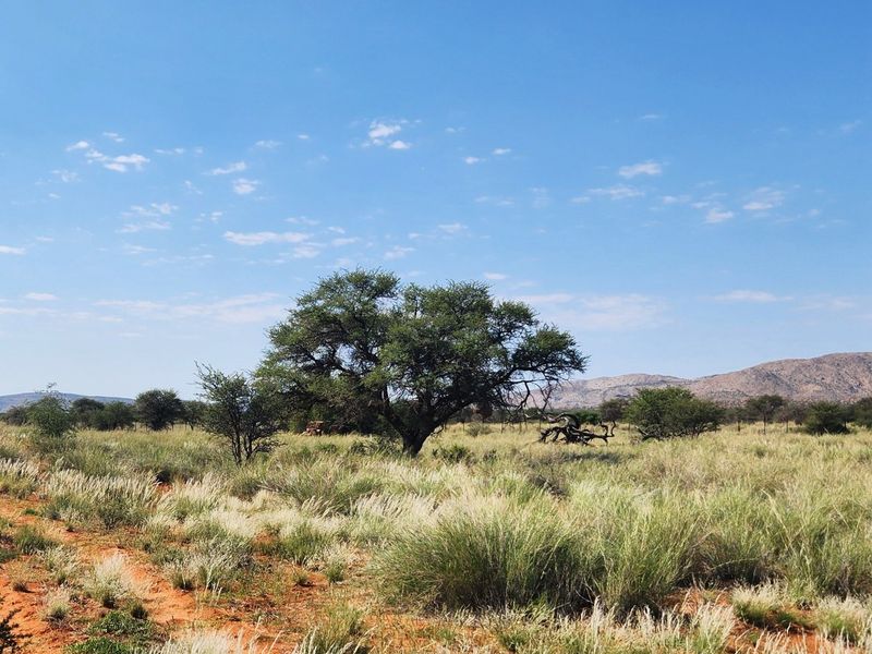 Livestock farm for sale between Marydale and Groblershoop in the Northern Cape.  - Photo 5