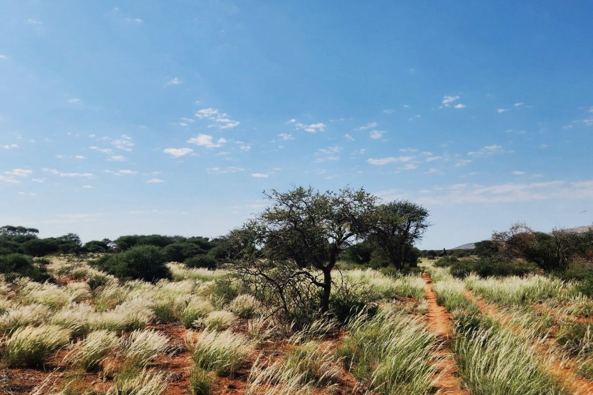 Livestock farm for sale between Marydale and Groblershoop in the Northern Cape.  - Photo 2