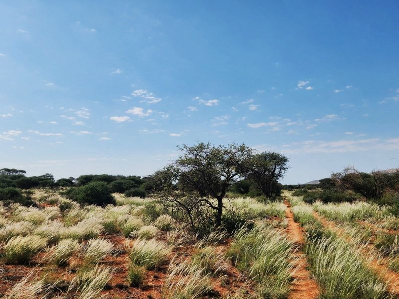 Livestock farm for sale between Marydale and Groblershoop in the Northern Cape.  - Photo 2