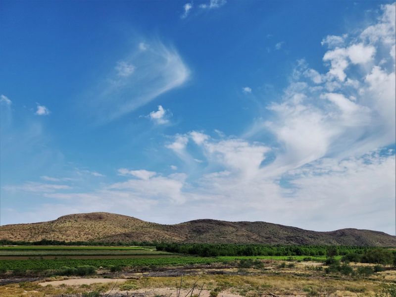 A scenic landscape view featuring expansive agricultural fields set against a backdrop of rolling hills and a clear blue sky.