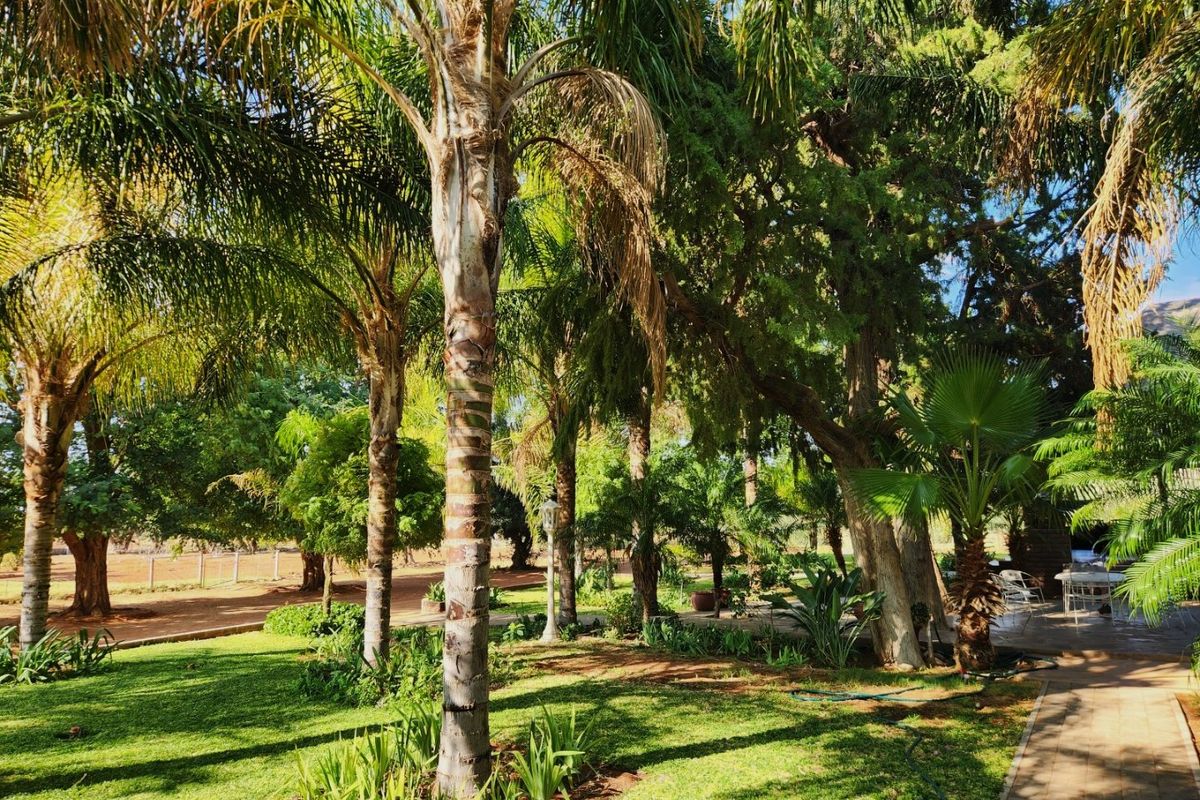 Well-Developed Livestock & Game Farm for Sale - Near Groblershoop, Northern Cape - Photo 5
