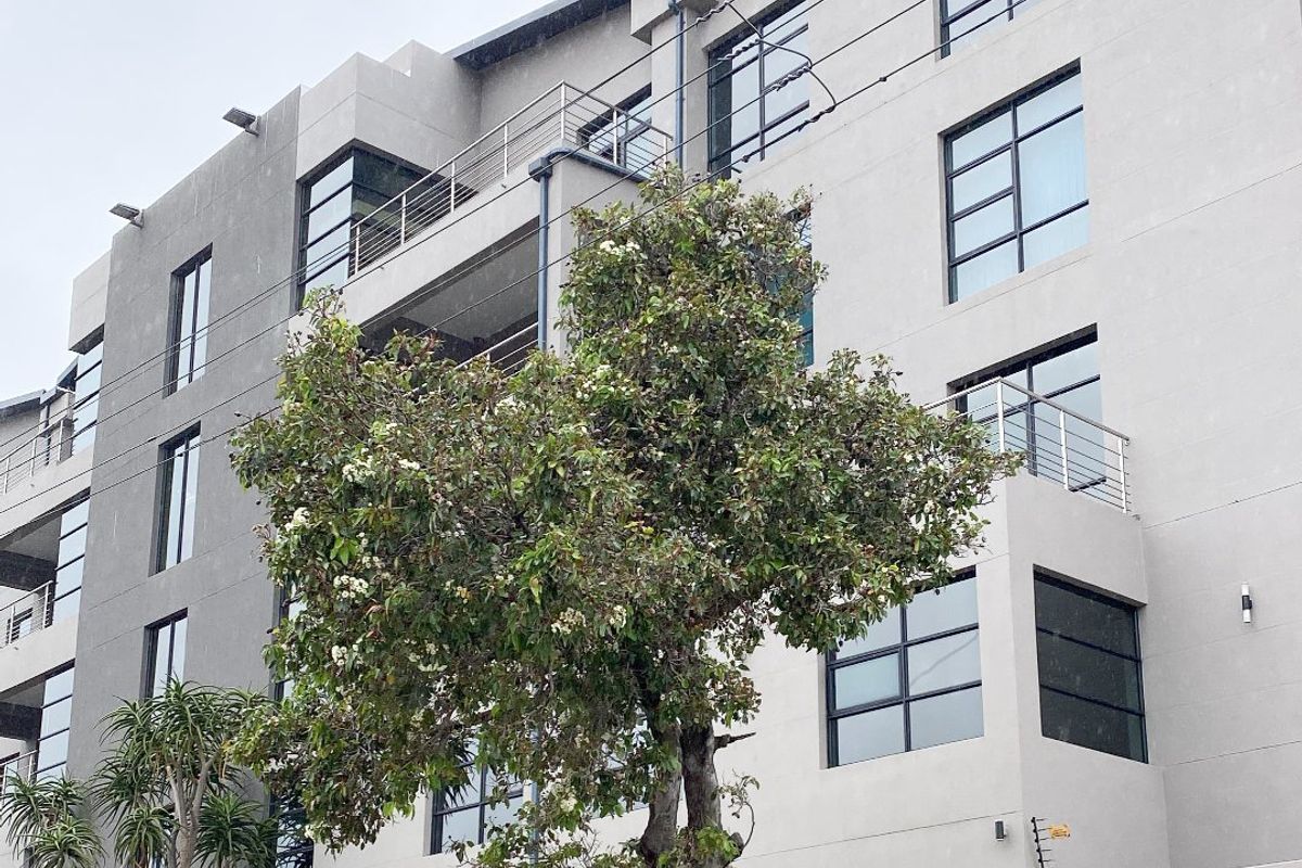 Your Business, Your Asset: Own Your Premier Newton Park Address - Photo 4