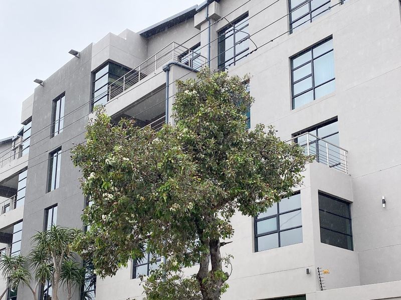 Your Business, Your Asset: Own Your Premier Newton Park Address - Photo 4