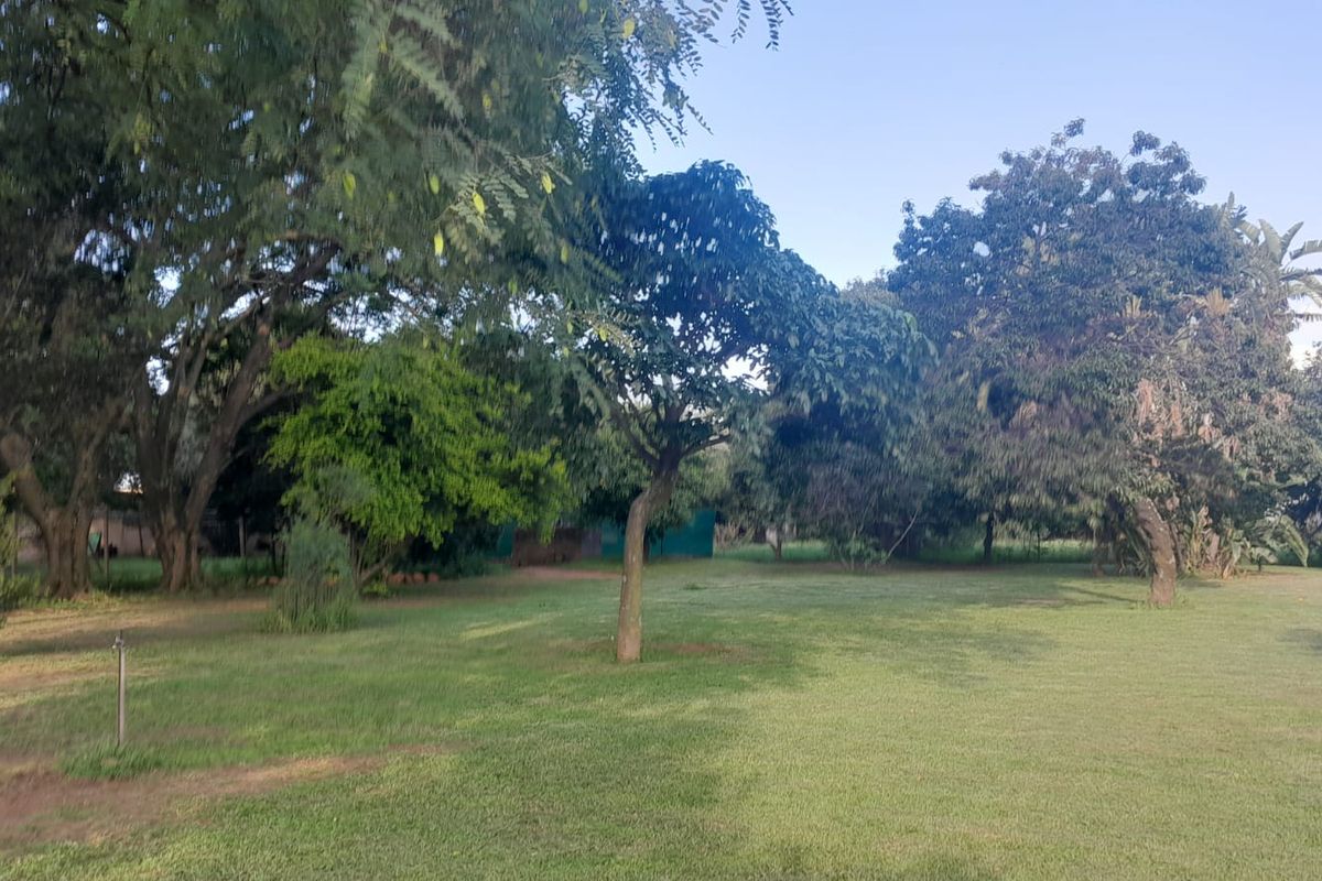 CALLING ON INVESTORS, DEVELOPERS, FARMERS, ENTERPRENUES - HERE IS A NEW PROJECT FOR YOU THIS YEAR ! - Photo 3