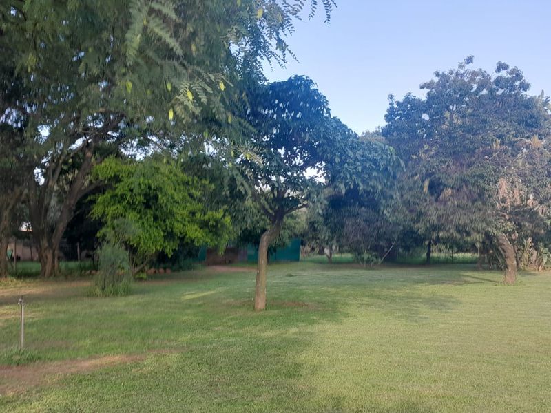 CALLING ON INVESTORS, DEVELOPERS, FARMERS, ENTERPRENUES - HERE IS A NEW PROJECT FOR YOU THIS YEAR ! - Photo 3