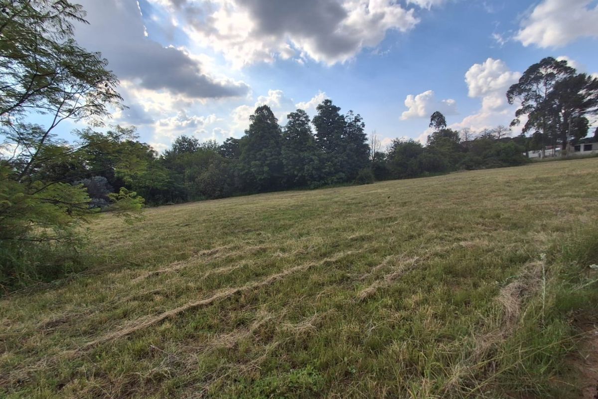 CALLING ON INVESTORS, DEVELOPERS, FARMERS, ENTERPRENUES - HERE IS A NEW PROJECT FOR YOU THIS YEAR ! - Photo 4