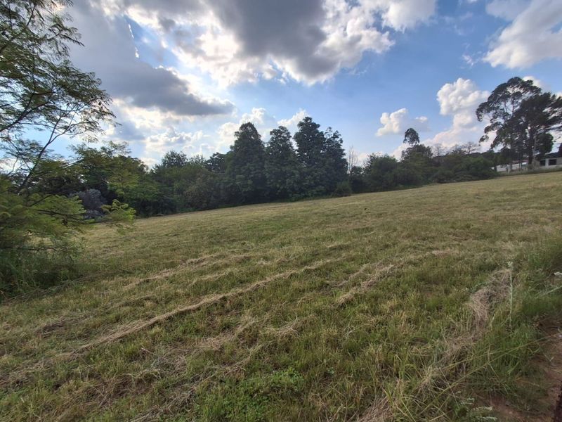 CALLING ON INVESTORS, DEVELOPERS, FARMERS, ENTERPRENUES - HERE IS A NEW PROJECT FOR YOU THIS YEAR ! - Photo 4