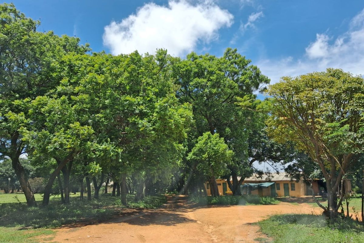 CALLING ON INVESTORS, DEVELOPERS, FARMERS, ENTERPRENUES - HERE IS A NEW PROJECT FOR YOU THIS YEAR ! - Photo 2