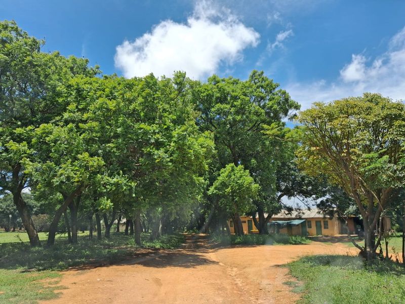 CALLING ON INVESTORS, DEVELOPERS, FARMERS, ENTERPRENUES - HERE IS A NEW PROJECT FOR YOU THIS YEAR ! - Photo 1