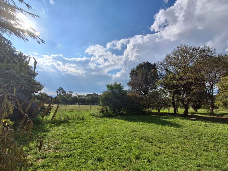 CALLING ON INVESTORS, DEVELOPERS, FARMERS, ENTERPRENUES - HERE IS A NEW PROJECT FOR YOU THIS YEAR ! - Photo 2