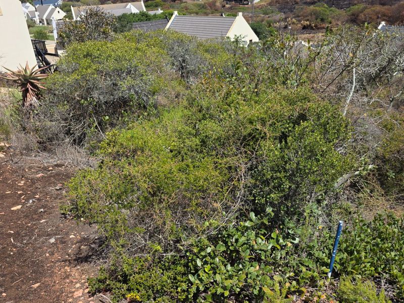 Vacant Land... Peaceful Estate... Located Between Mossel Bay and Hartenbos... - Photo 3