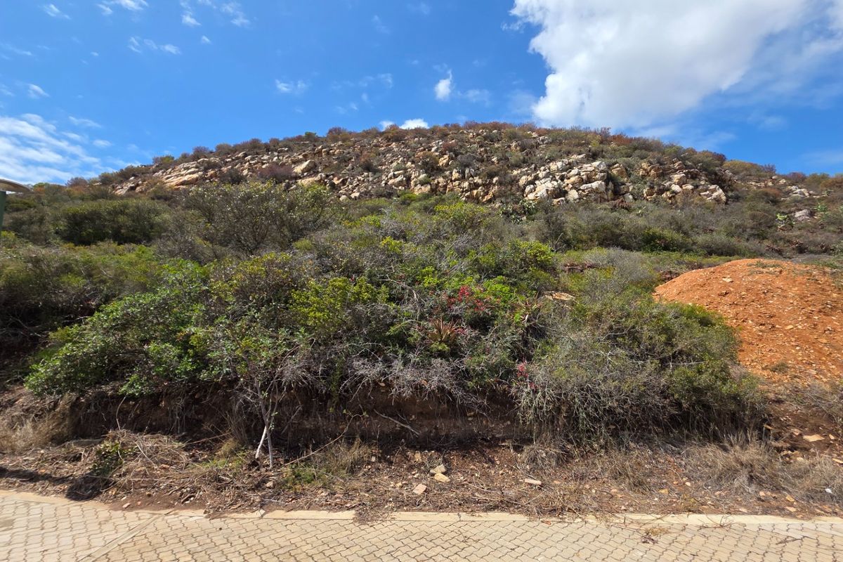 Vacant Land... Peaceful Estate... Located Between Mossel Bay and Hartenbos... - Photo 5